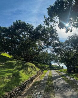 Donde el sol entra entre los árboles… y tú bajas el ritmo. ☀️

www.lagograndehotel.com

.
.
.
#LagoGrandeHotel #HotelCampestre #PlanesCercaDeCali #HotelesValleDelCauca #ValleDelCauca