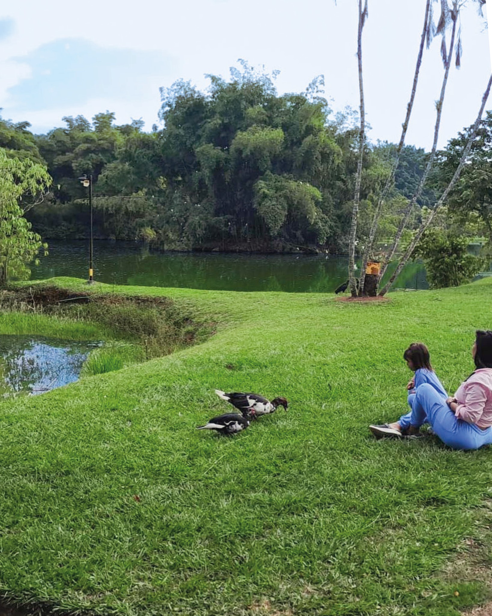 Aquí no hay prisa… solo lago, naturaleza y tranquilidad. 💚

Haz una pausa frente al lago y aprovecha 50% OFF los miércoles y jueves.

www.lagograndehotel.com