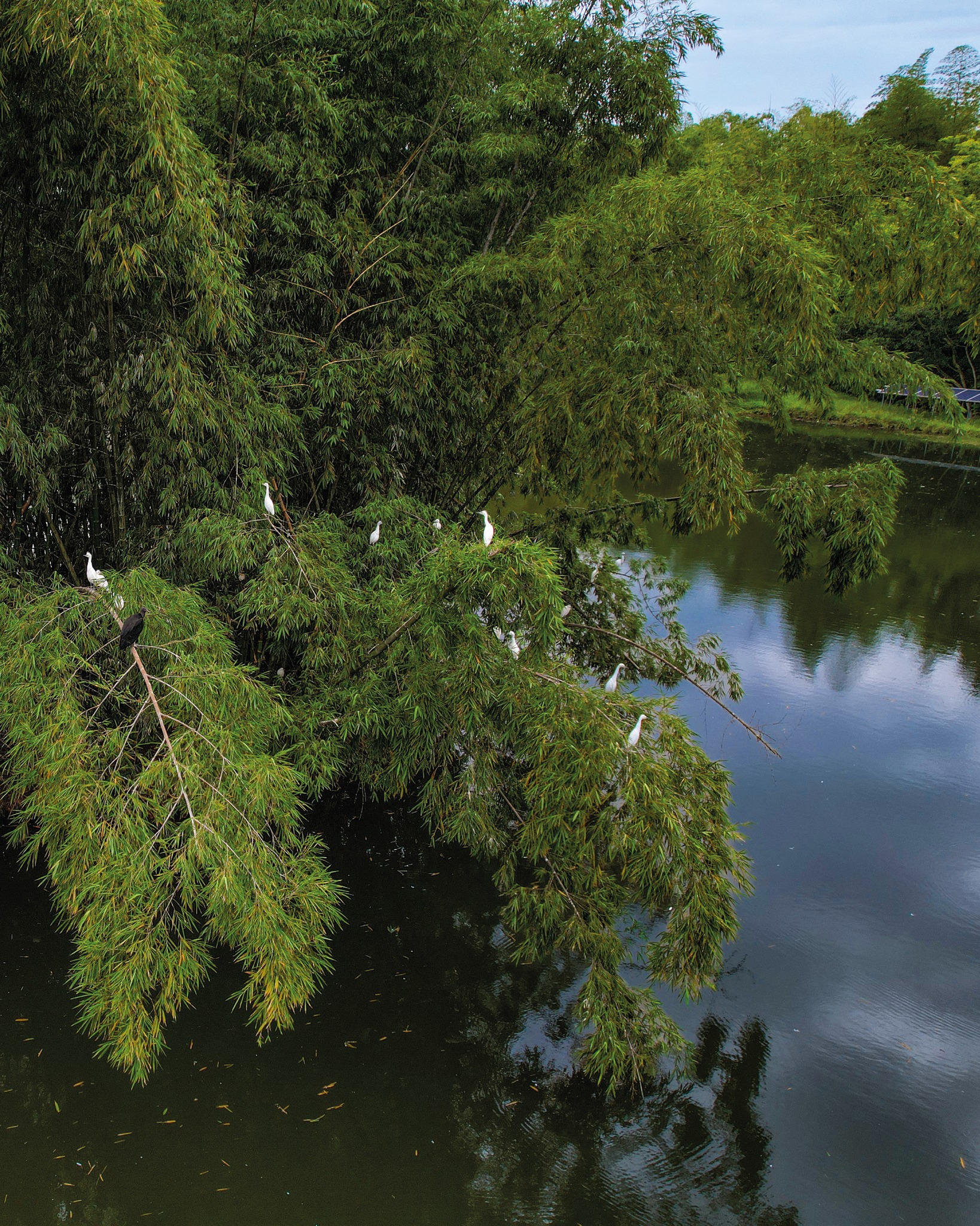 ¿Quién dijo que para conectar con la naturaleza había que manejar horas? 🌿
A pocos minutos de Cali existe un lugar donde el ruido se cambia por el canto de las aves, el agua y el verde.

📍Tu próxima escapada está más cerca de lo que imaginas.
jamundi - Valle del Cauca.