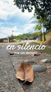 Muchos nos han escrito preguntándonos por nosotros… 🥺🌿
Hoy queremos contarles un poquito de lo que ha pasado.
El sismo nos obligó a cerrar nuestras puertas por un tiempo, pero también nos dio la oportunidad de detenernos, soñar nuevamente y transformar este lugar que tanto queremos.
Estamos preparando el lugar donde volveremos a crear momentos juntos. 🤍
Nos vemos en noviembre. ✨
Y sí… ya pueden empezar a reservar.
Gracias por esperarnos, por preguntarnos y por seguir aquí. 🌿